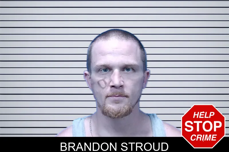 Brandon Stroud mugshot