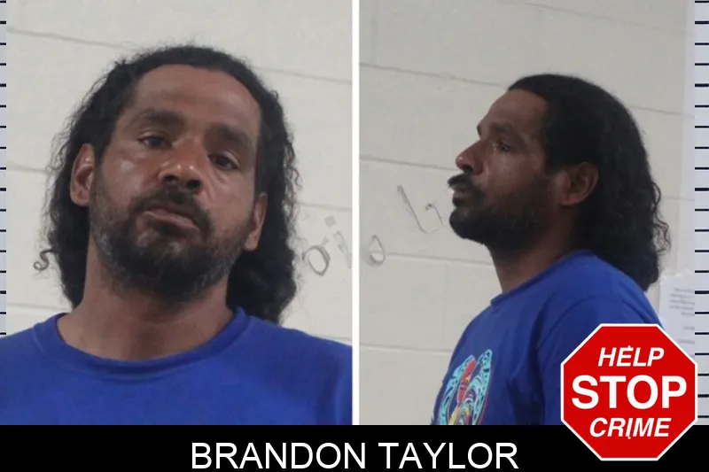 Brandon Taylor mugshot