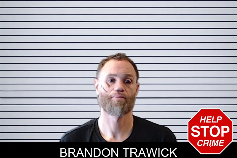Brandon Trawick mugshot