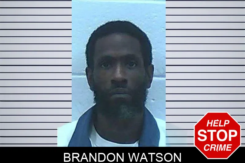 Brandon Watson mugshot