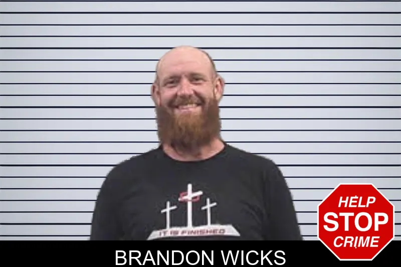 Brandon Wicks mugshot