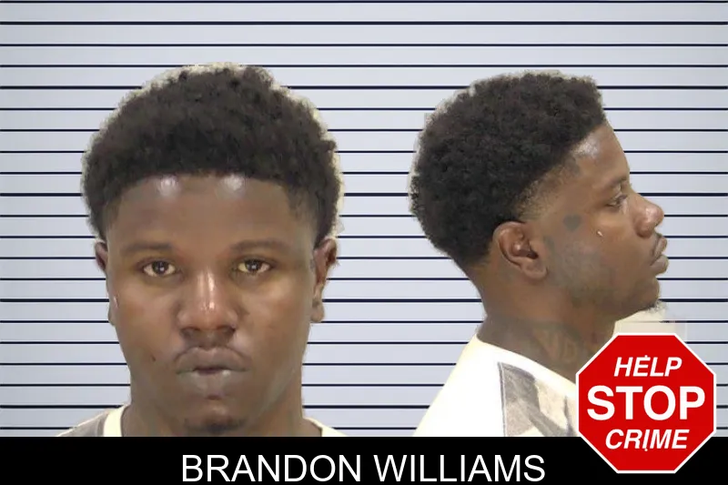 Brandon Williams mugshot