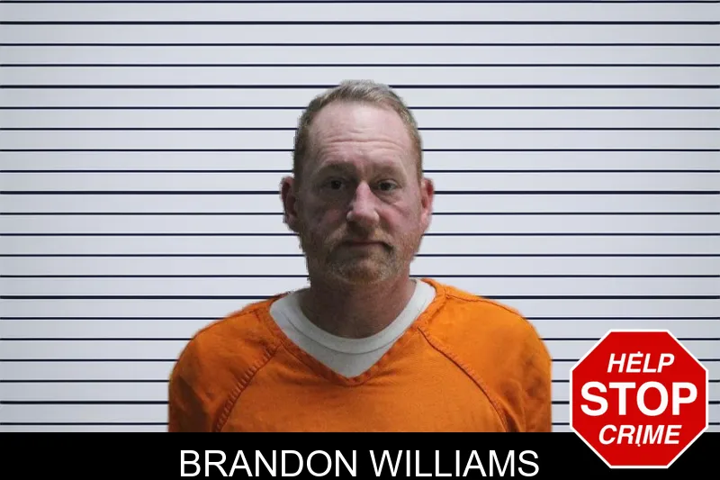 Brandon Williams mugshot