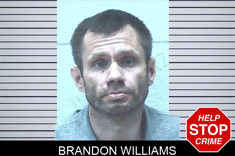 Brandon Williams mugshot