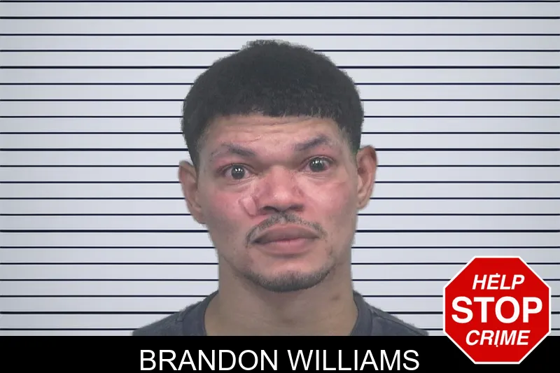 Brandon Williams mugshot