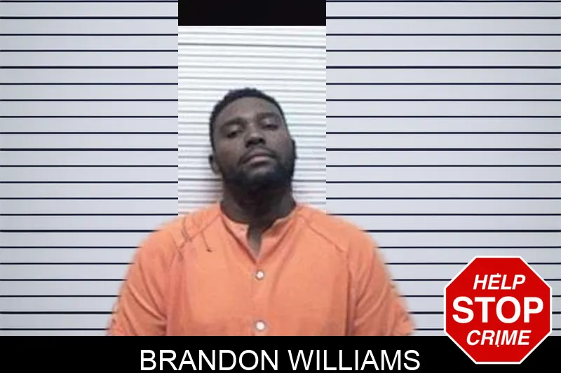 Brandon Williams mugshot