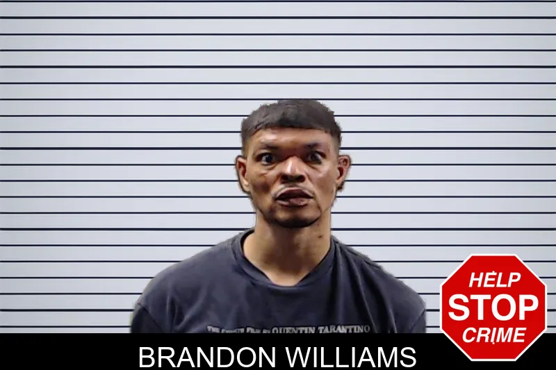 Brandon Williams mugshot