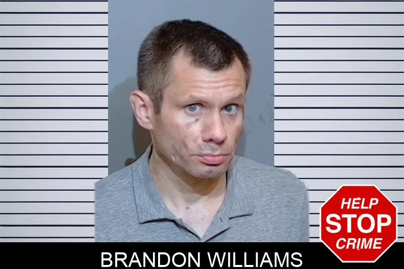Brandon Williams mugshot