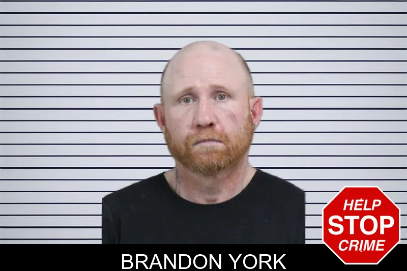 Brandon York mugshot