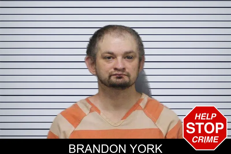 Brandon York mugshot