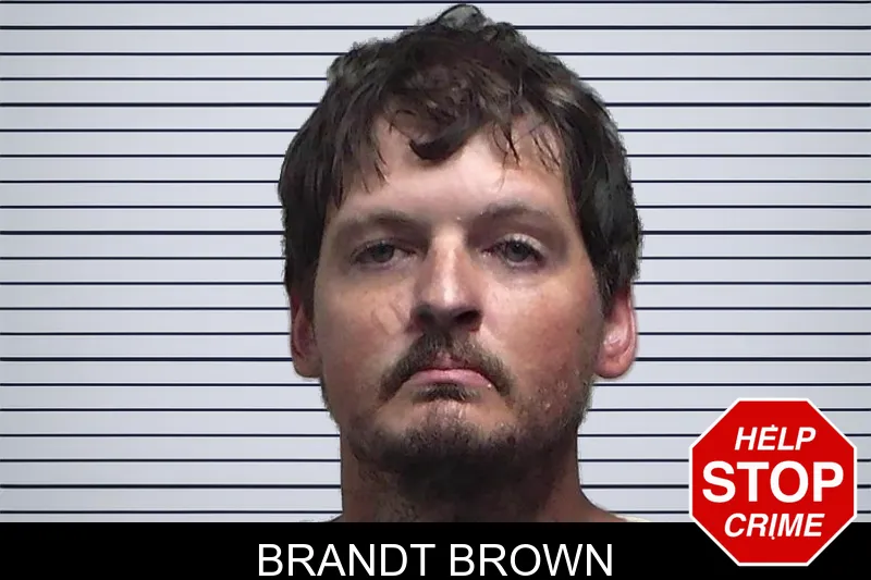 Brandt Brown mugshot