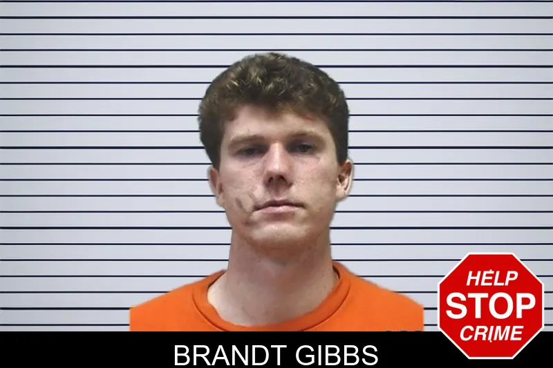 Brandt Gibbs mugshot