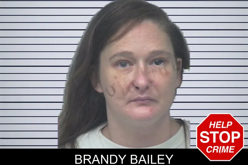 Brandy Bailey mugshot