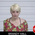 Brandy Hall mugshot