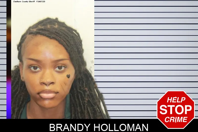 Brandy Holloman mugshot