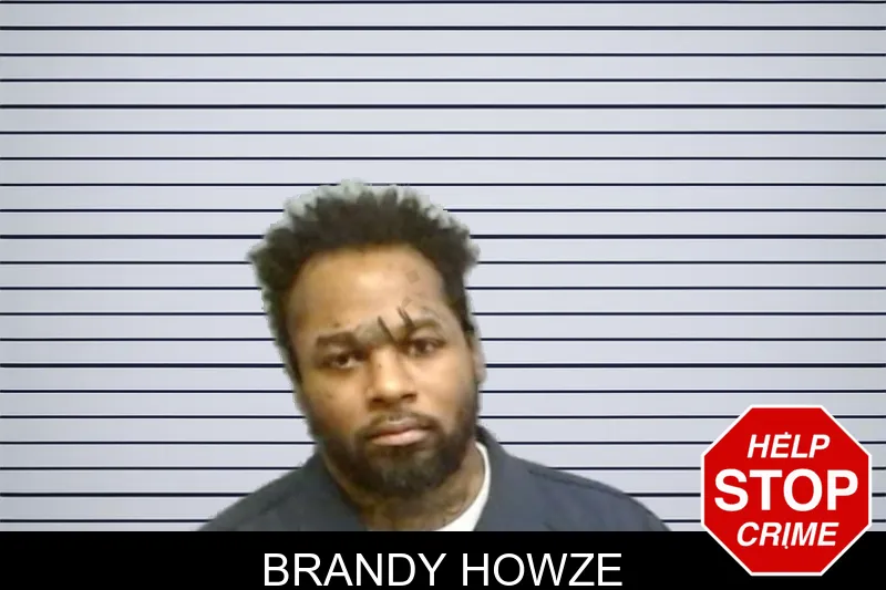 Brandy Howze mugshot