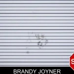 Brandy Joyner mugshot