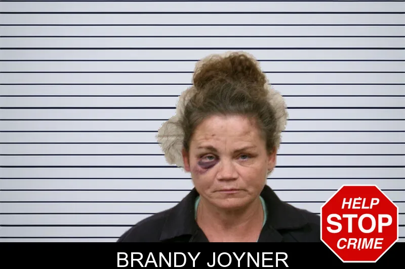 Brandy Joyner mugshot