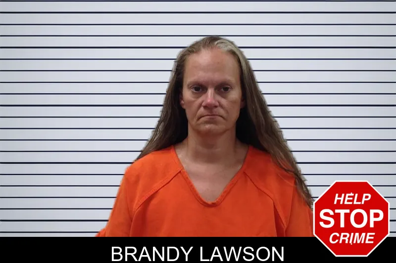 Brandy Lawson mugshot