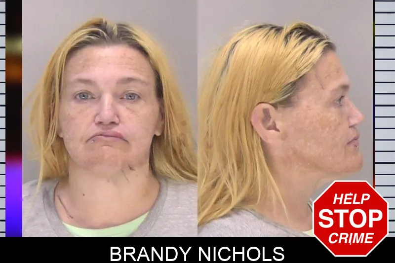 Brandy Nichols mugshot