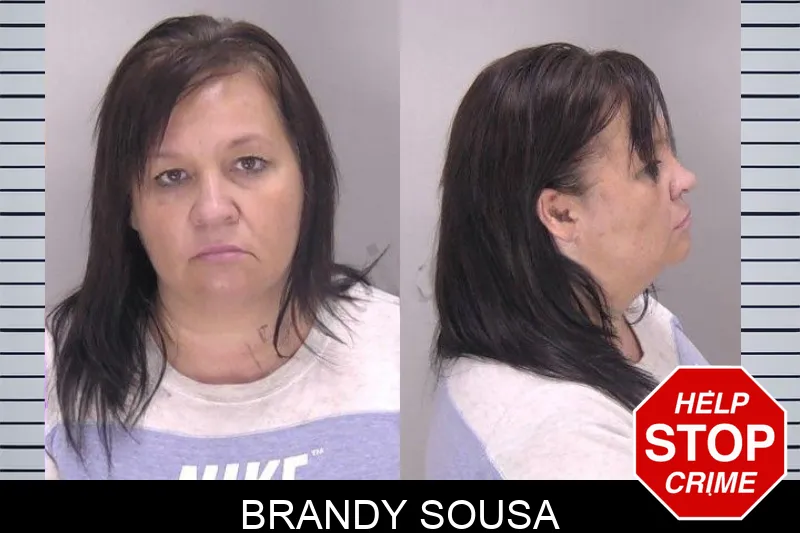 Brandy Sousa mugshot