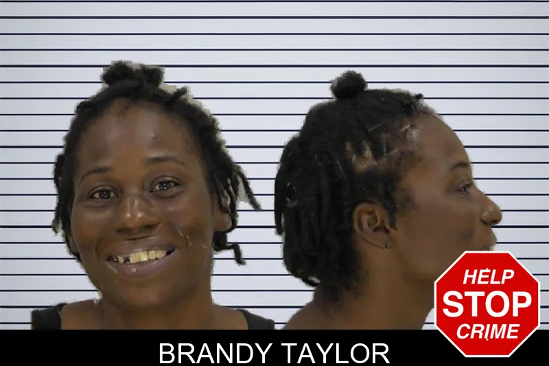 Brandy Taylor mugshot