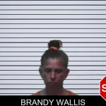 Brandy Wallis mugshot