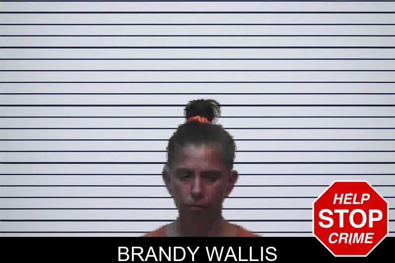 Brandy Wallis mugshot