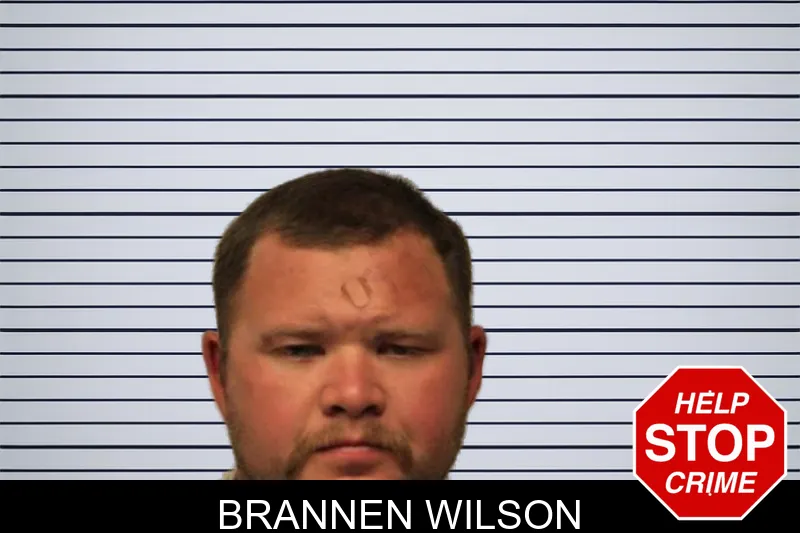 Brannen Wilson mugshot