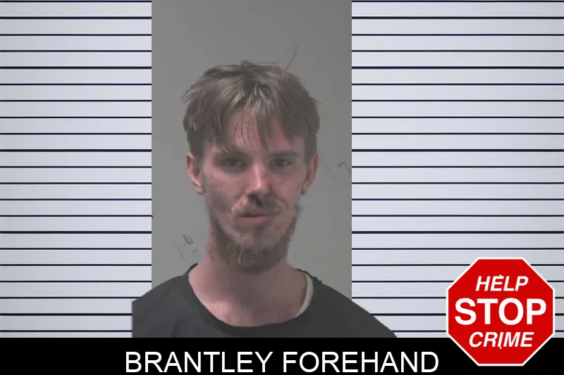 Brantley Forehand mugshot