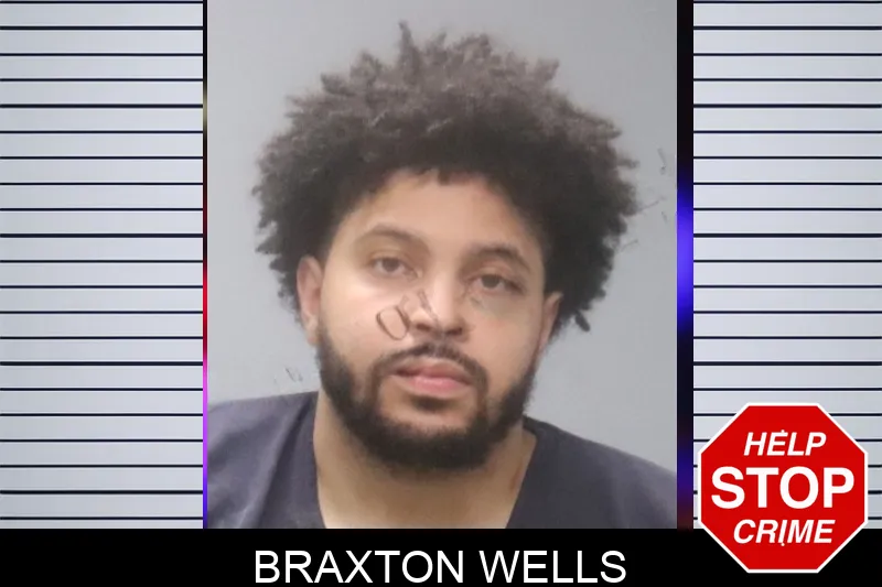 Braxton Wells mugshot