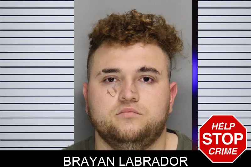 Brayan Labrador mugshot