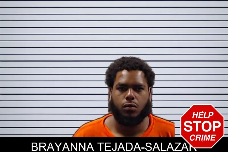 Brayanna Tejada-Salazar mugshot