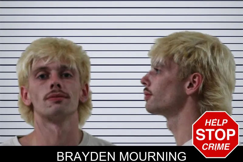 Brayden Mourning mugshot