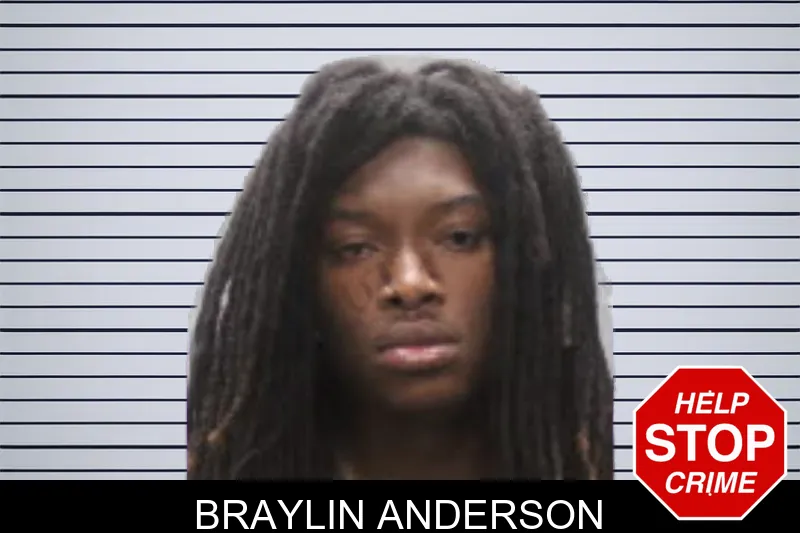 Braylin Anderson mugshot