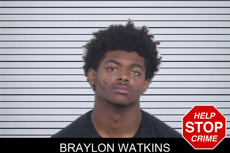 Braylon Watkins mugshot