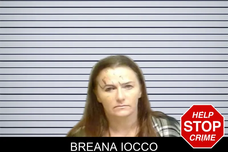 Breana Iocco mugshot