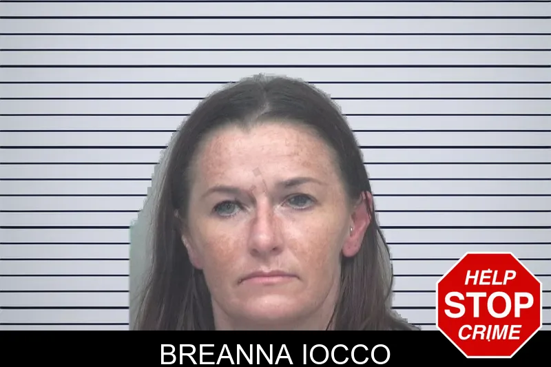 Breanna Iocco mugshot