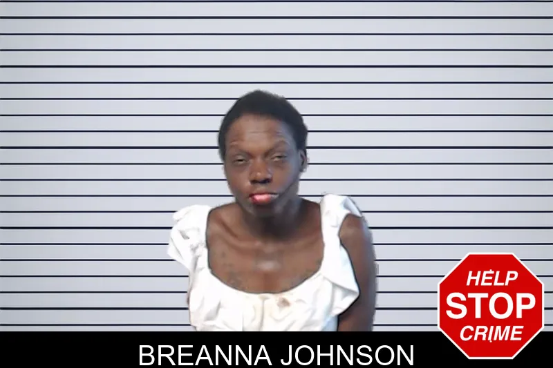 Breanna Johnson mugshot
