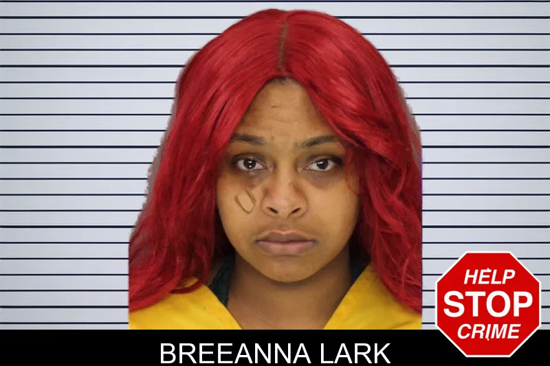 Breeanna Lark mugshot