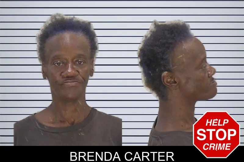 Brenda Carter mugshot