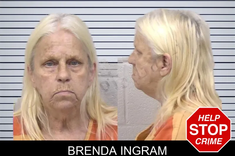 Brenda Ingram mugshot