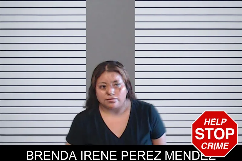 Brenda Irene Perez Mendez mugshot