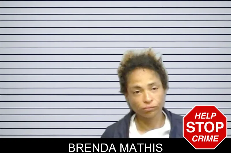 Brenda Mathis mugshot