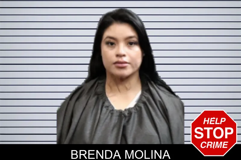 Brenda Molina mugshot