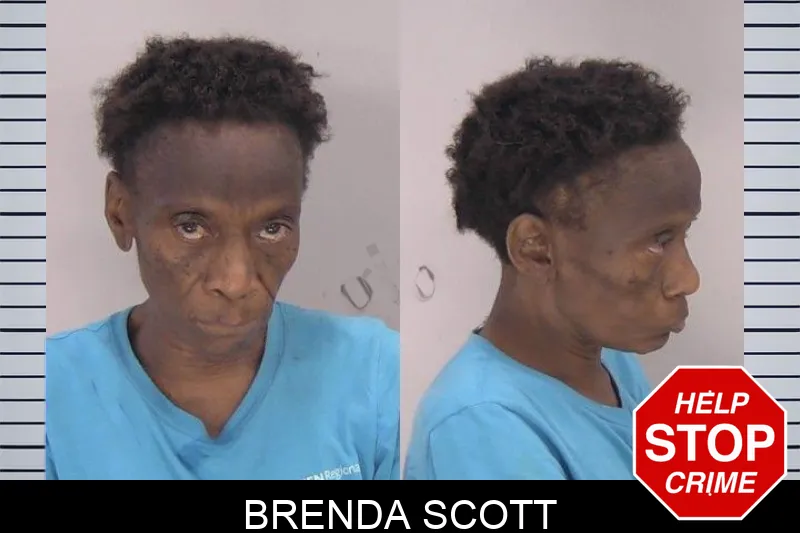 Brenda Scott mugshot