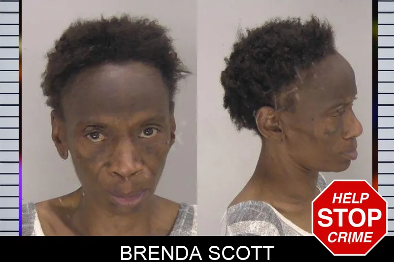 Brenda Scott mugshot