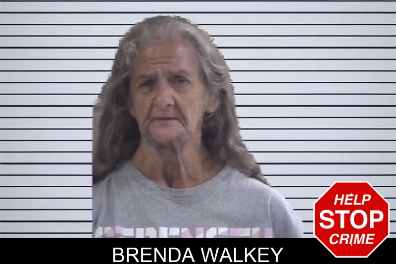 Brenda Walkey mugshot