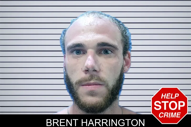 Brent Harrington mugshot