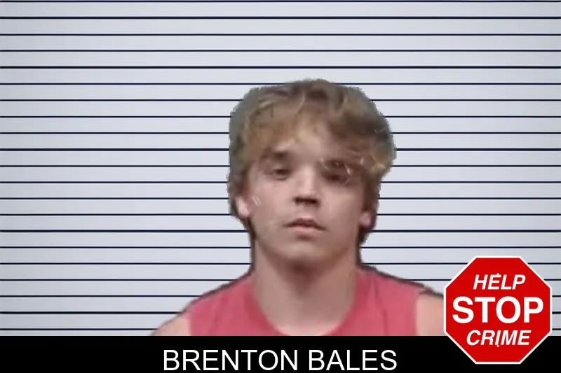 Brenton Bales mugshot
